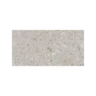 2026_06_10_258578