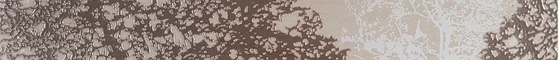 2026_06_11_355328